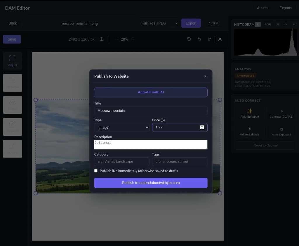 DAM Core editor — luminance histogram, AI auto-correct panel, and Publish dialog over a high-resolution drone frame.